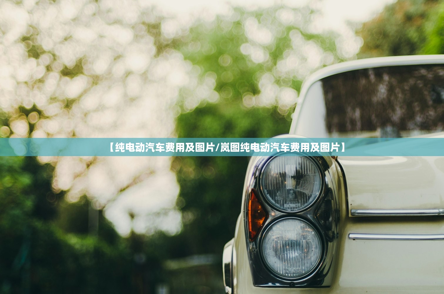 【纯电动汽车费用及图片/岚图纯电动汽车费用及图片】