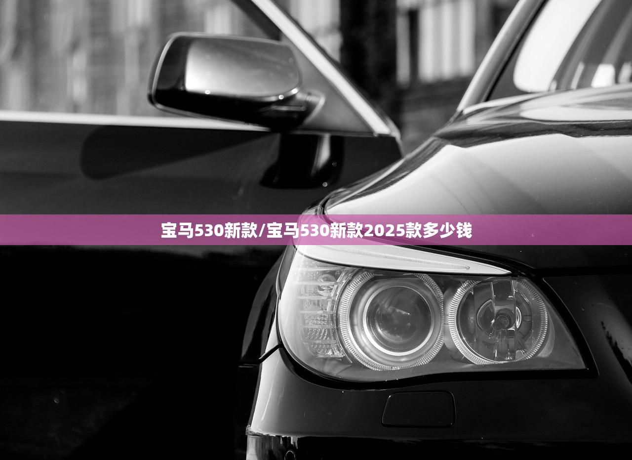 宝马530新款/宝马530新款2025款多少钱