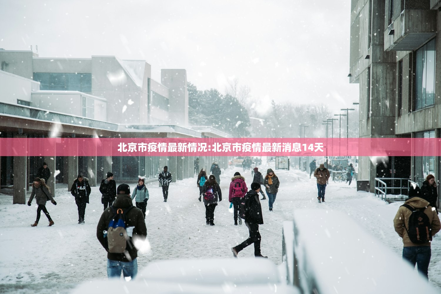 北京市疫情最新情况:北京市疫情最新消息14天