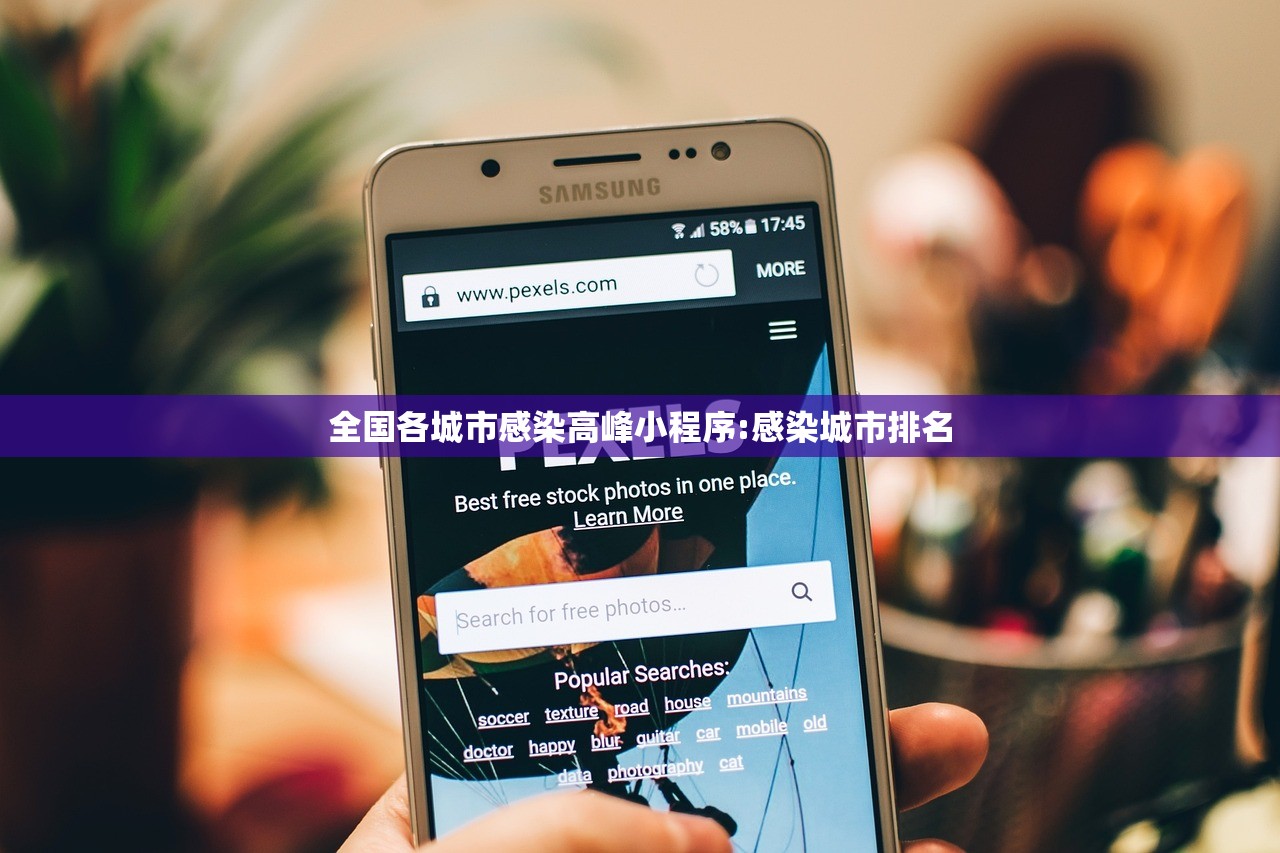 全国各城市感染高峰小程序:感染城市排名