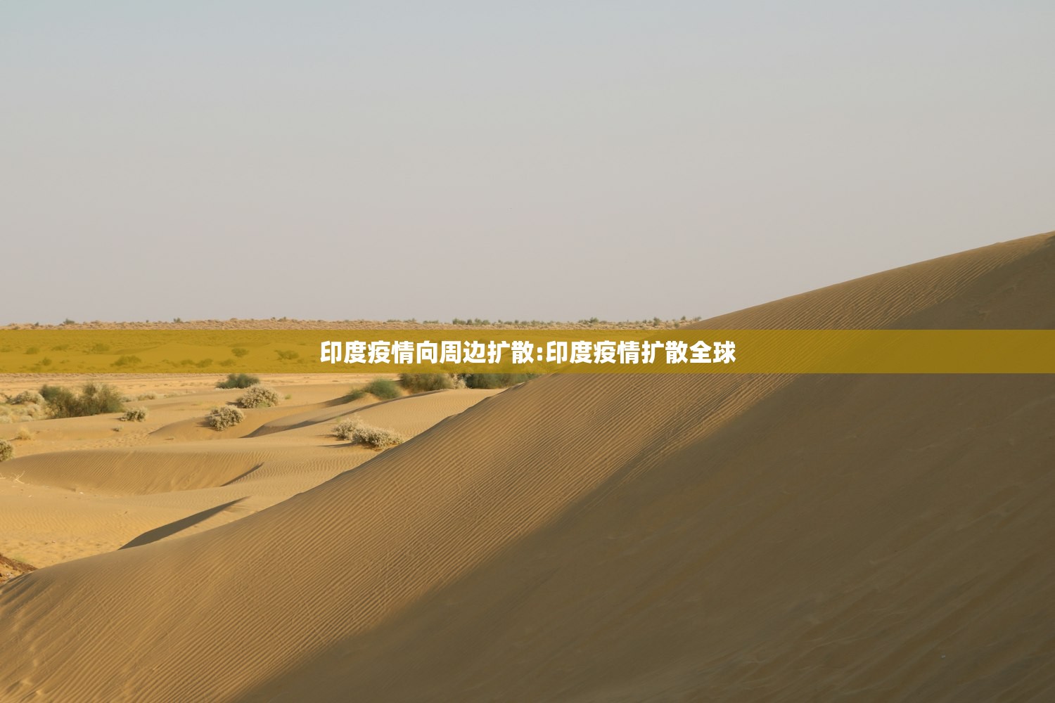 印度疫情向周边扩散:印度疫情扩散全球