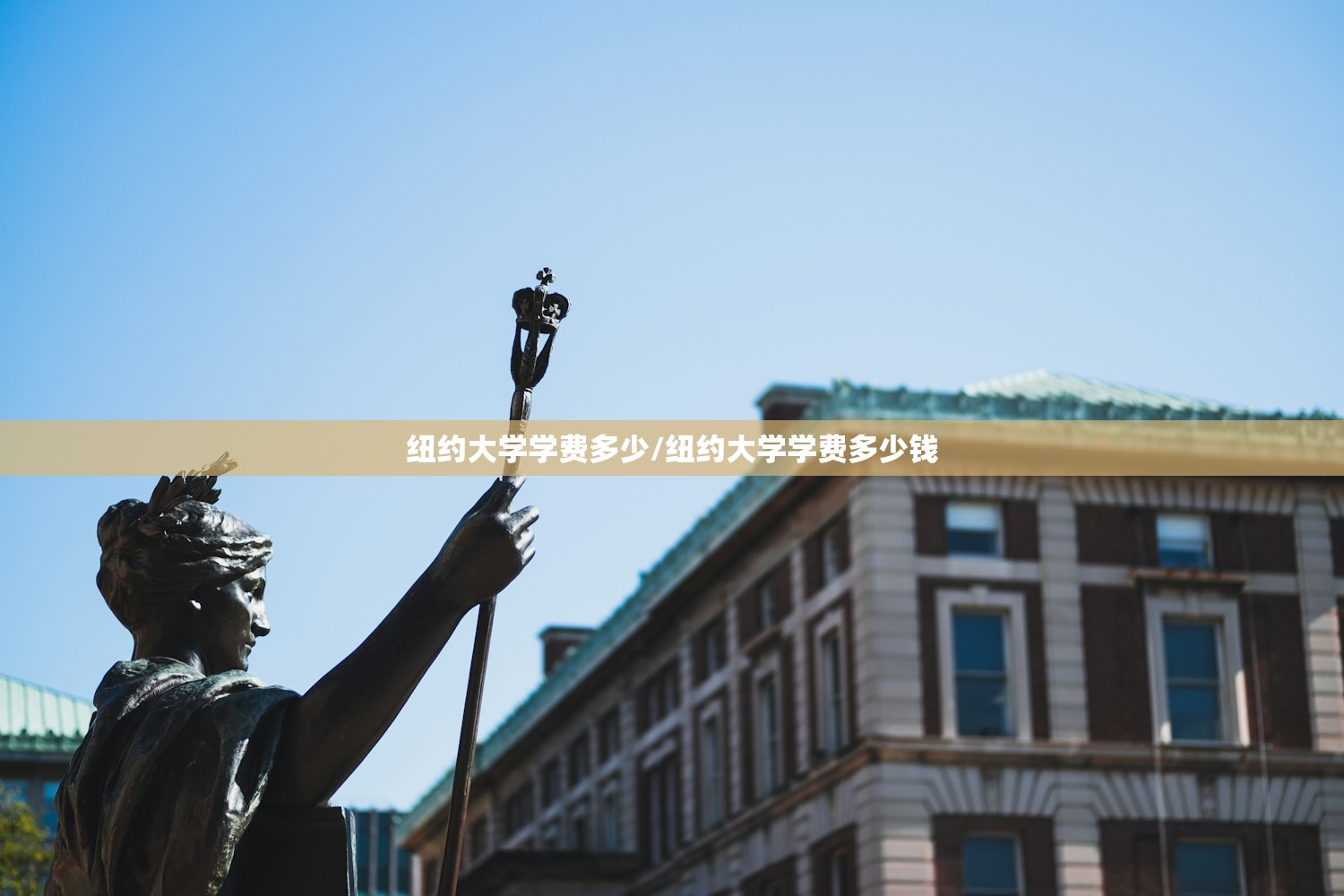 纽约大学学费多少/纽约大学学费多少钱 纽约大学学费多少/纽约大学学费多少钱
