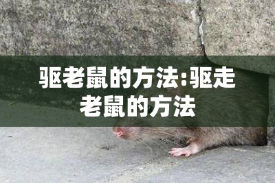 驱老鼠的方法:驱走老鼠的方法