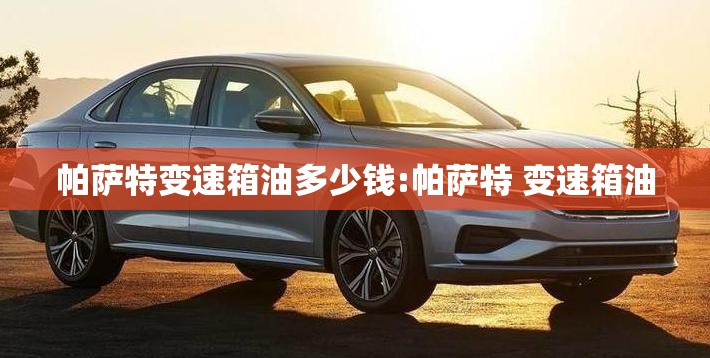 帕萨特变速箱油多少钱:帕萨特 变速箱油
