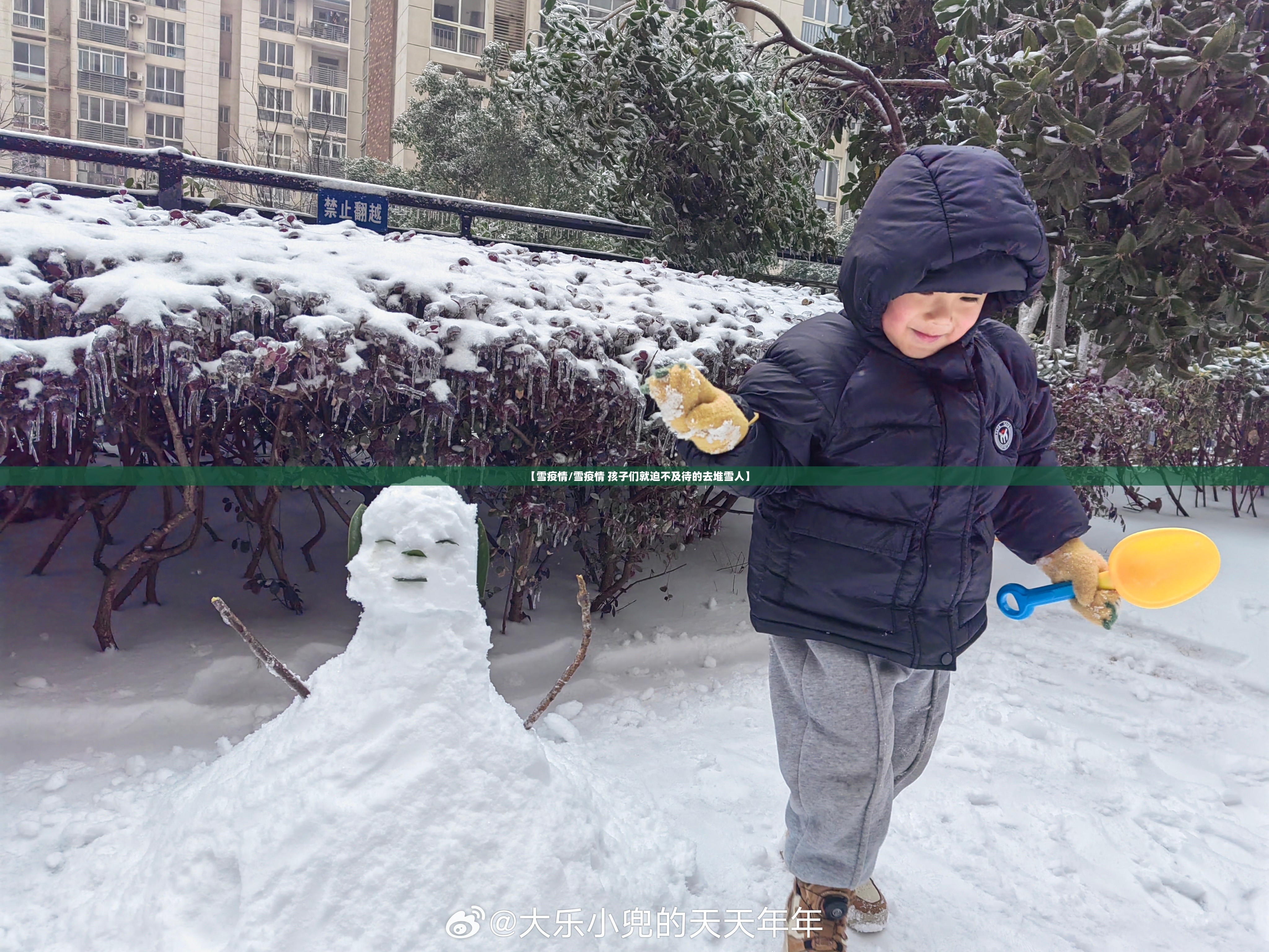 【雪疫情/雪疫情 孩子们就迫不及待的去堆雪人】