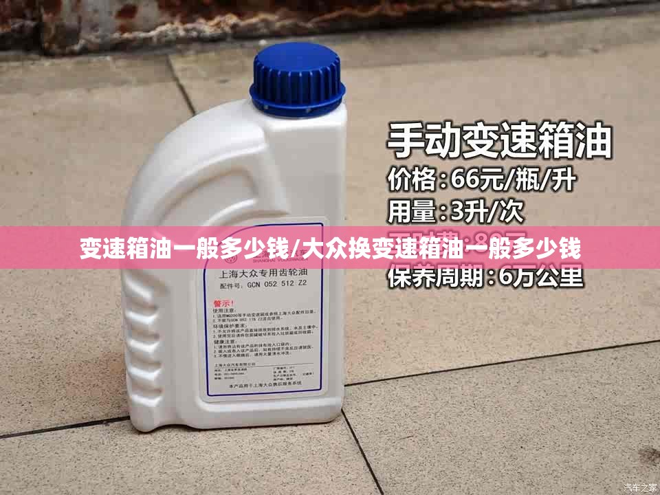 变速箱油一般多少钱/大众换变速箱油一般多少钱