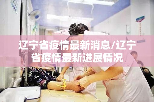 辽宁省疫情最新消息/辽宁省疫情最新进展情况