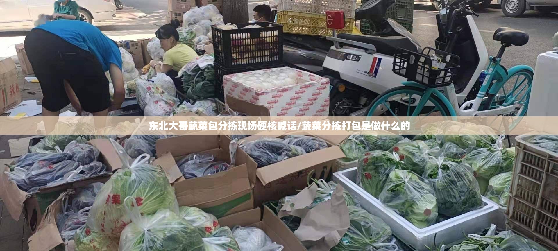 东北大哥蔬菜包分拣现场硬核喊话/蔬菜分拣打包是做什么的