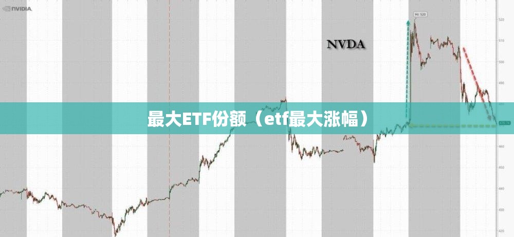 最大ETF份额（etf最大涨幅）