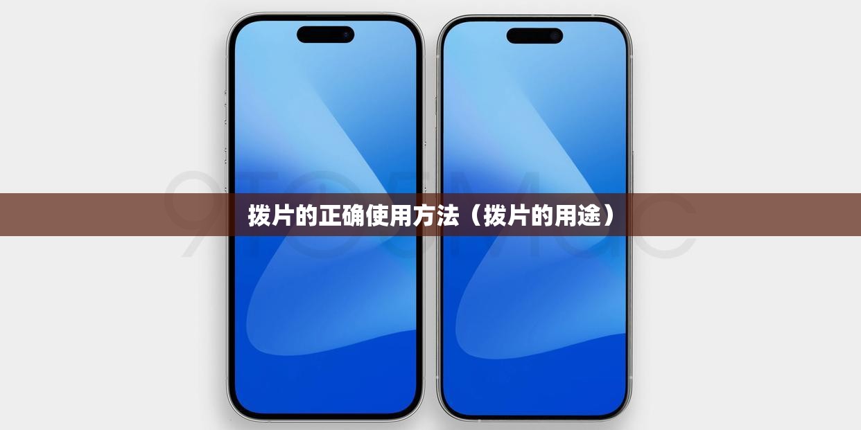 拨片的正确使用方法（拨片的用途）
