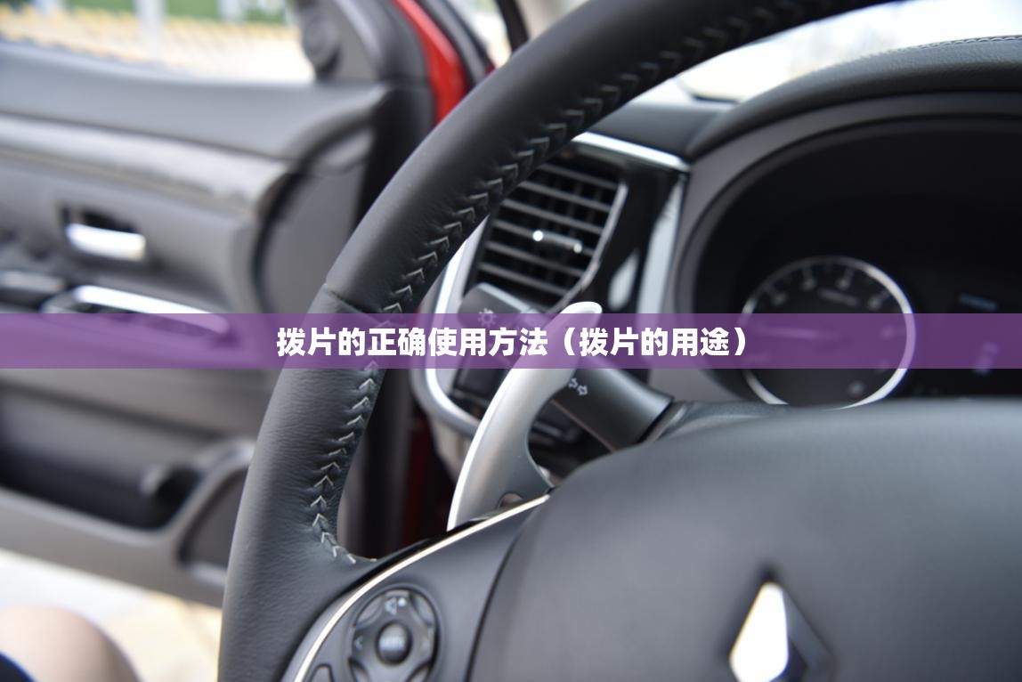 拨片的正确使用方法（拨片的用途）