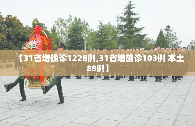 【31省增确诊1228例,31省增确诊103例 本土88例】