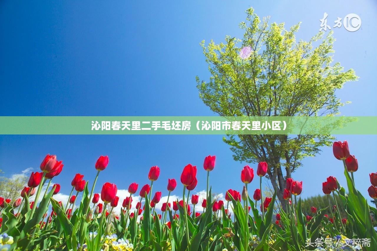 沁阳春天里二手毛坯房（沁阳市春天里小区）
