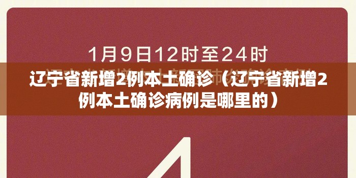 辽宁省新增2例本土确诊（辽宁省新增2例本土确诊病例是哪里的）