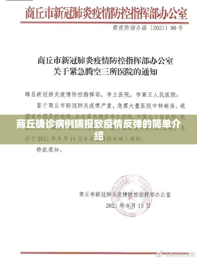 商丘确诊病例瞒报致疫情反弹的简单介绍