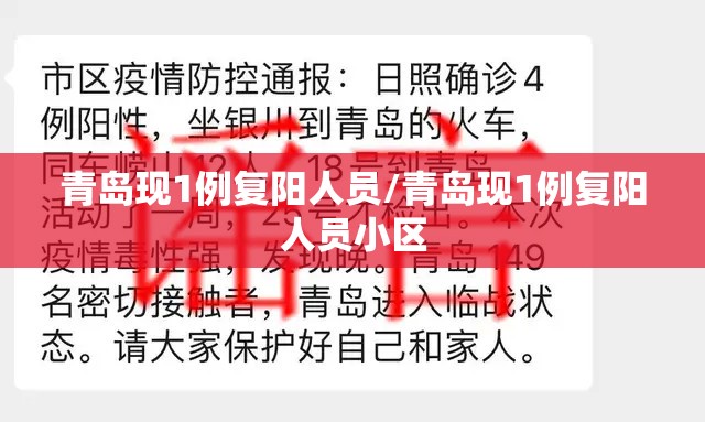 青岛现1例复阳人员/青岛现1例复阳人员小区