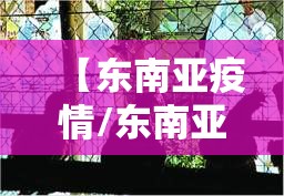 【东南亚疫情/东南亚疫情严重吗】