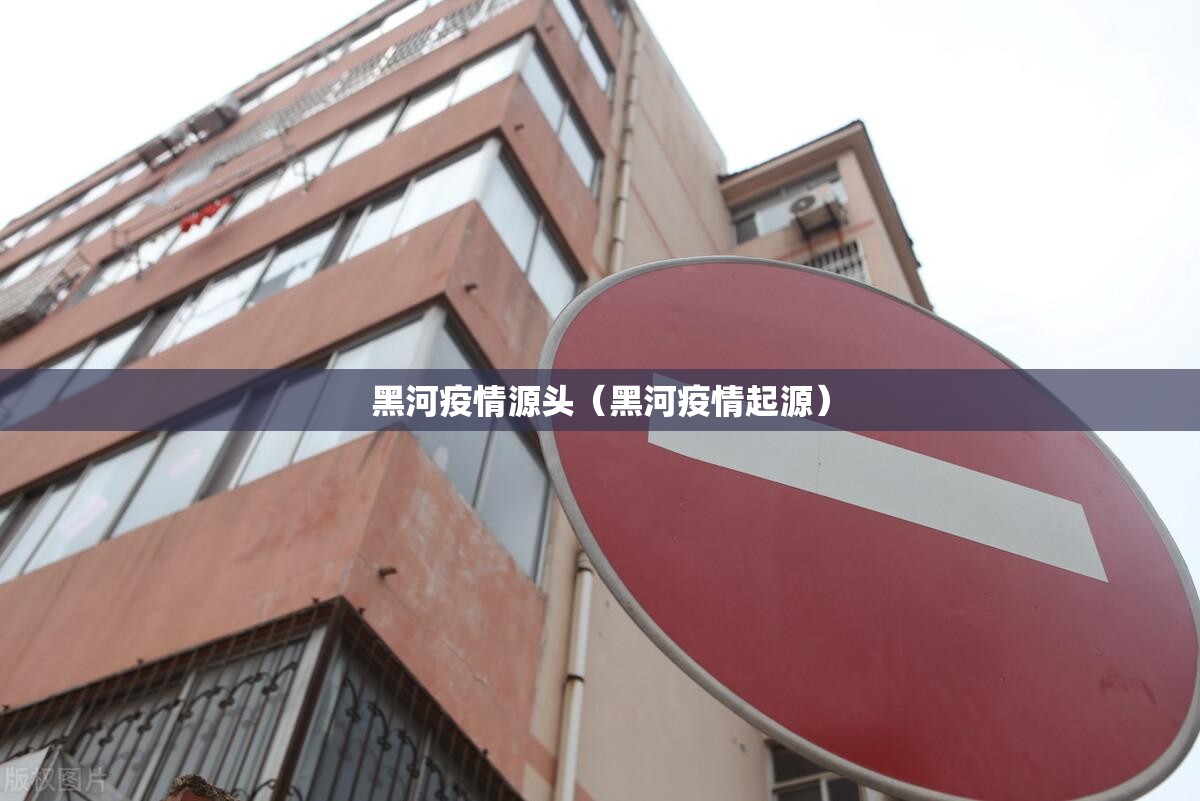 黑河疫情源头（黑河疫情起源）