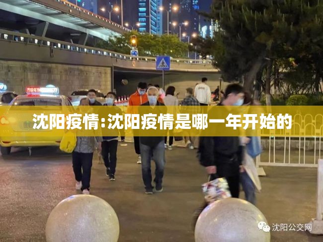 沈阳疫情:沈阳疫情是哪一年开始的