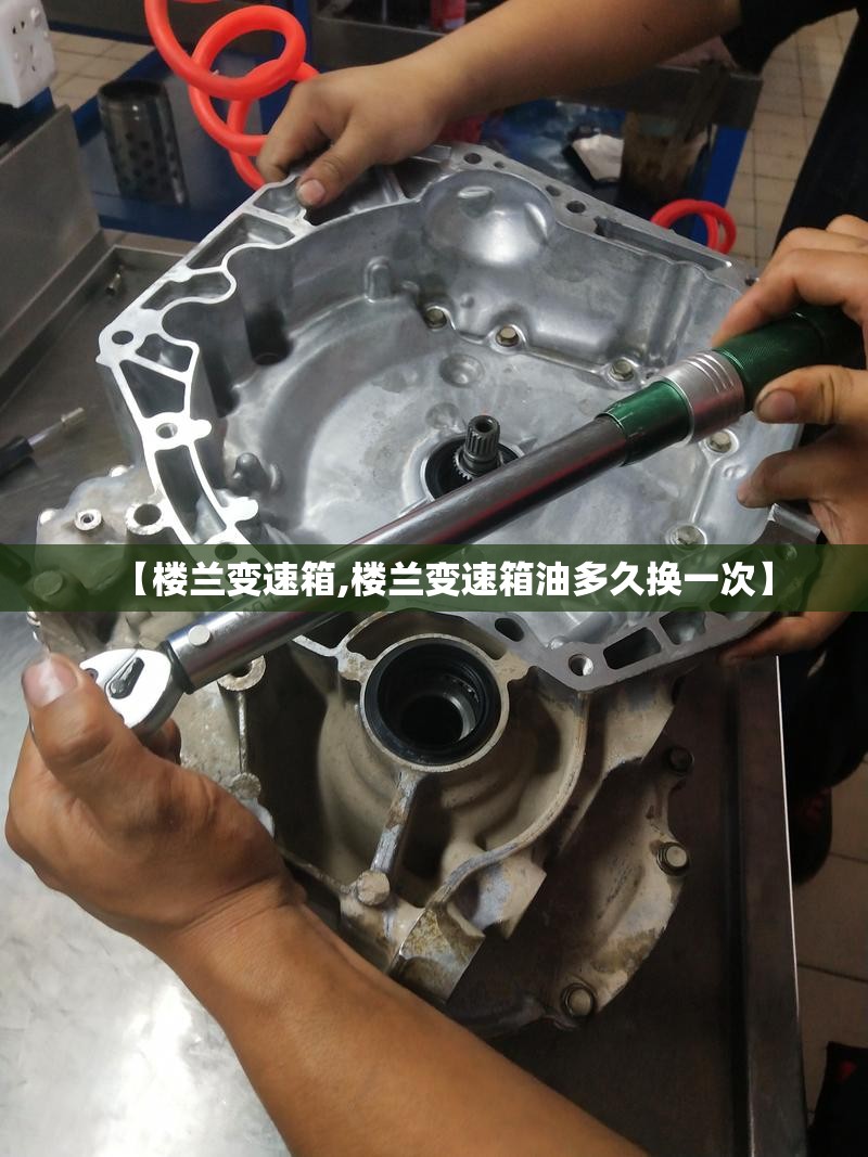【楼兰变速箱,楼兰变速箱油多久换一次】