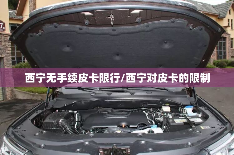 西宁无手续皮卡限行/西宁对皮卡的限制 西宁无手续皮卡限行/西宁对皮卡的限制