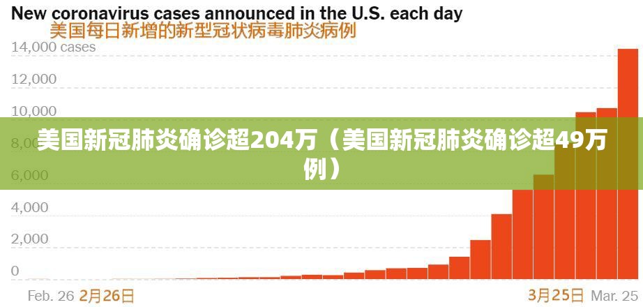 美国新冠肺炎确诊超204万（美国新冠肺炎确诊超49万例）