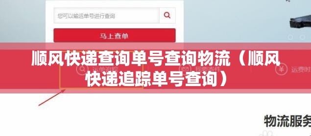 顺风快递查询单号查询物流（顺风快递追踪单号查询）