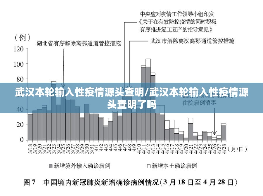 武汉本轮输入性疫情源头查明/武汉本轮输入性疫情源头查明了吗 武汉本轮输入性疫情源头查明/武汉本轮输入性疫情源头查明了吗
