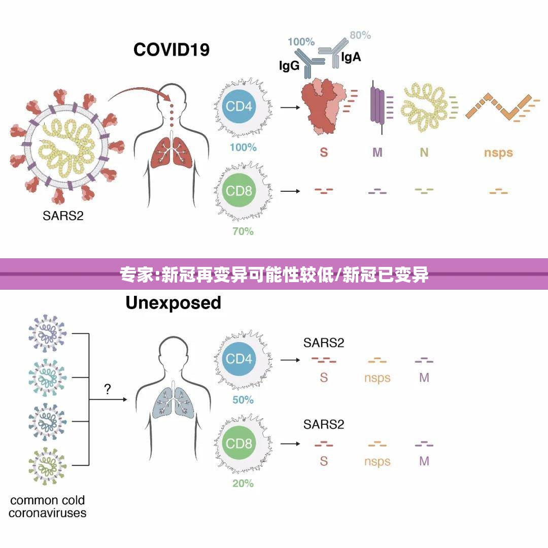 专家:新冠再变异可能性较低/新冠已变异