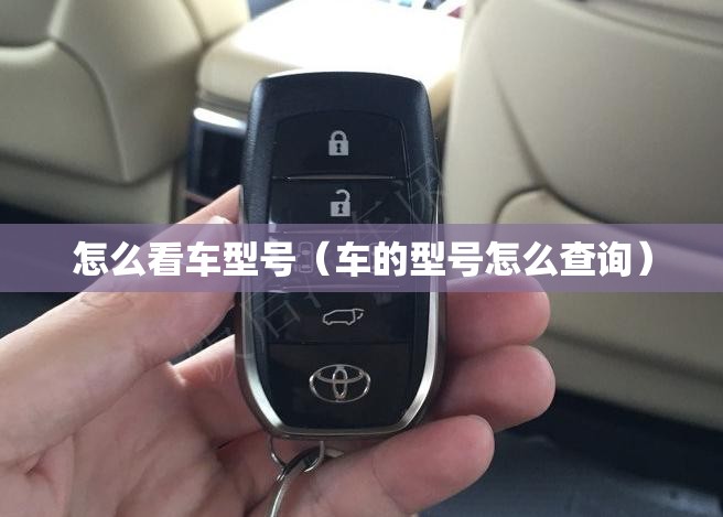 怎么看车型号（车的型号怎么查询）