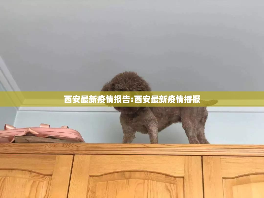西安最新疫情报告:西安最新疫情播报