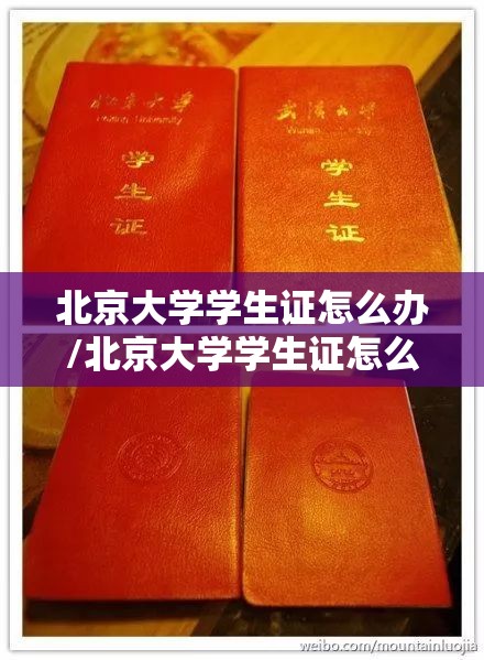 北京大学学生证怎么办/北京大学学生证怎么办理 北京大学学生证怎么办/北京大学学生证怎么办理