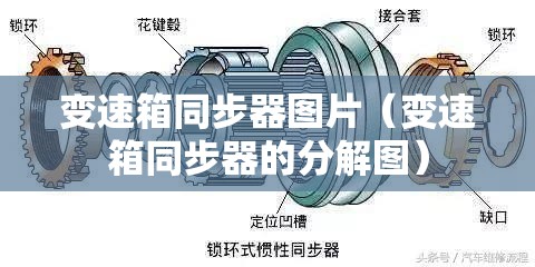 变速箱同步器图片(变速箱同步器的分解图) 变速箱同步器图片(变速箱同步器的分解图)