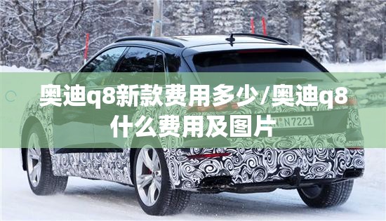 奥迪q8新款费用多少/奥迪q8什么费用及图片
