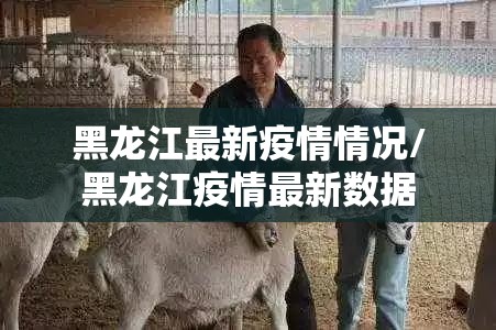 黑龙江最新疫情情况/黑龙江疫情最新数据