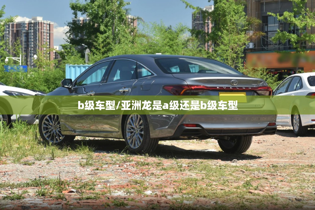 b级车型/亚洲龙是a级还是b级车型 b级车型/亚洲龙是a级还是b级车型