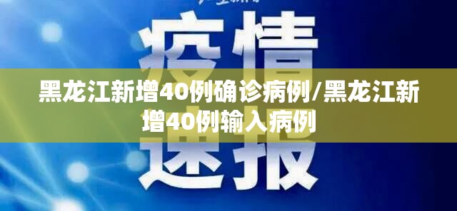 黑龙江新增40例确诊病例/黑龙江新增40例输入病例