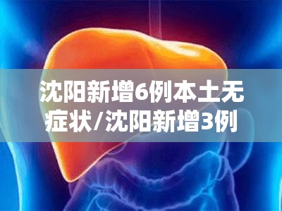 沈阳新增6例本土无症状/沈阳新增3例无症状感染者
