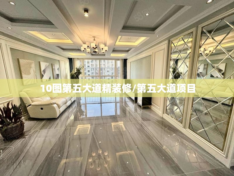 10图第五大道精装修/第五大道项目