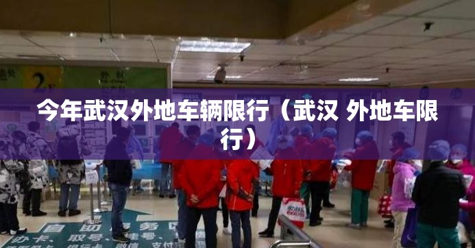 今年武汉外地车辆限行（武汉 外地车限行）