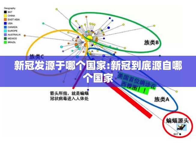 新冠发源于哪个国家:新冠到底源自哪个国家