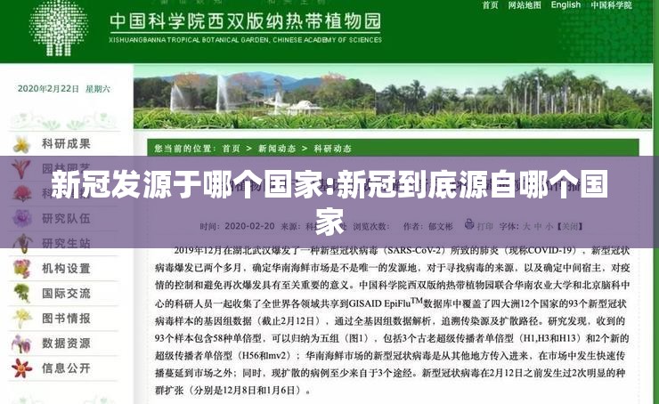 新冠发源于哪个国家:新冠到底源自哪个国家