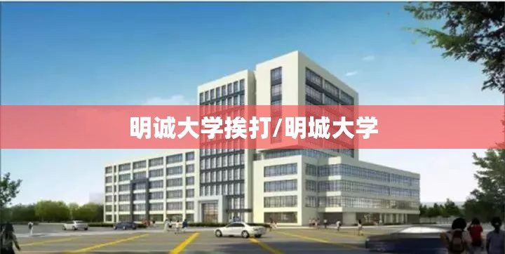明诚大学挨打/明城大学