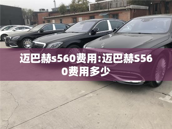 迈巴赫s560费用:迈巴赫S560费用多少