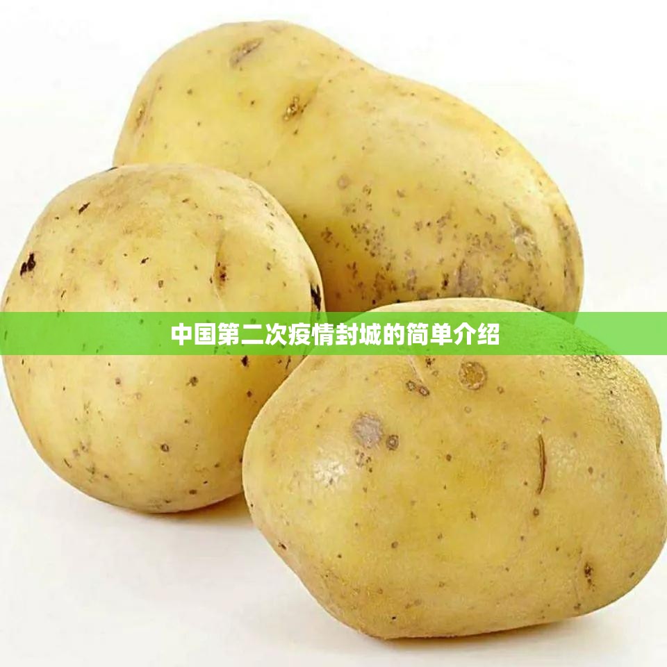 中国第二次疫情封城的简单介绍