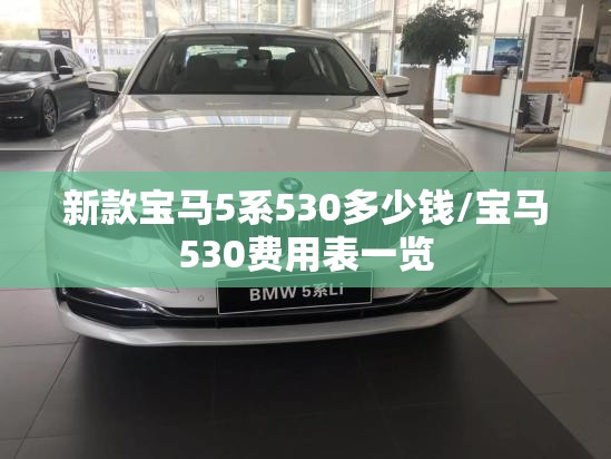 新款宝马5系530多少钱/宝马530费用表一览 新款宝马5系530多少钱/宝马530费用表一览