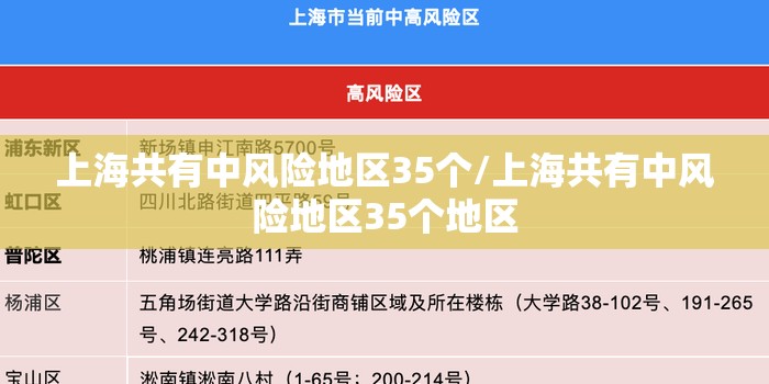 上海共有中风险地区35个/上海共有中风险地区35个地区