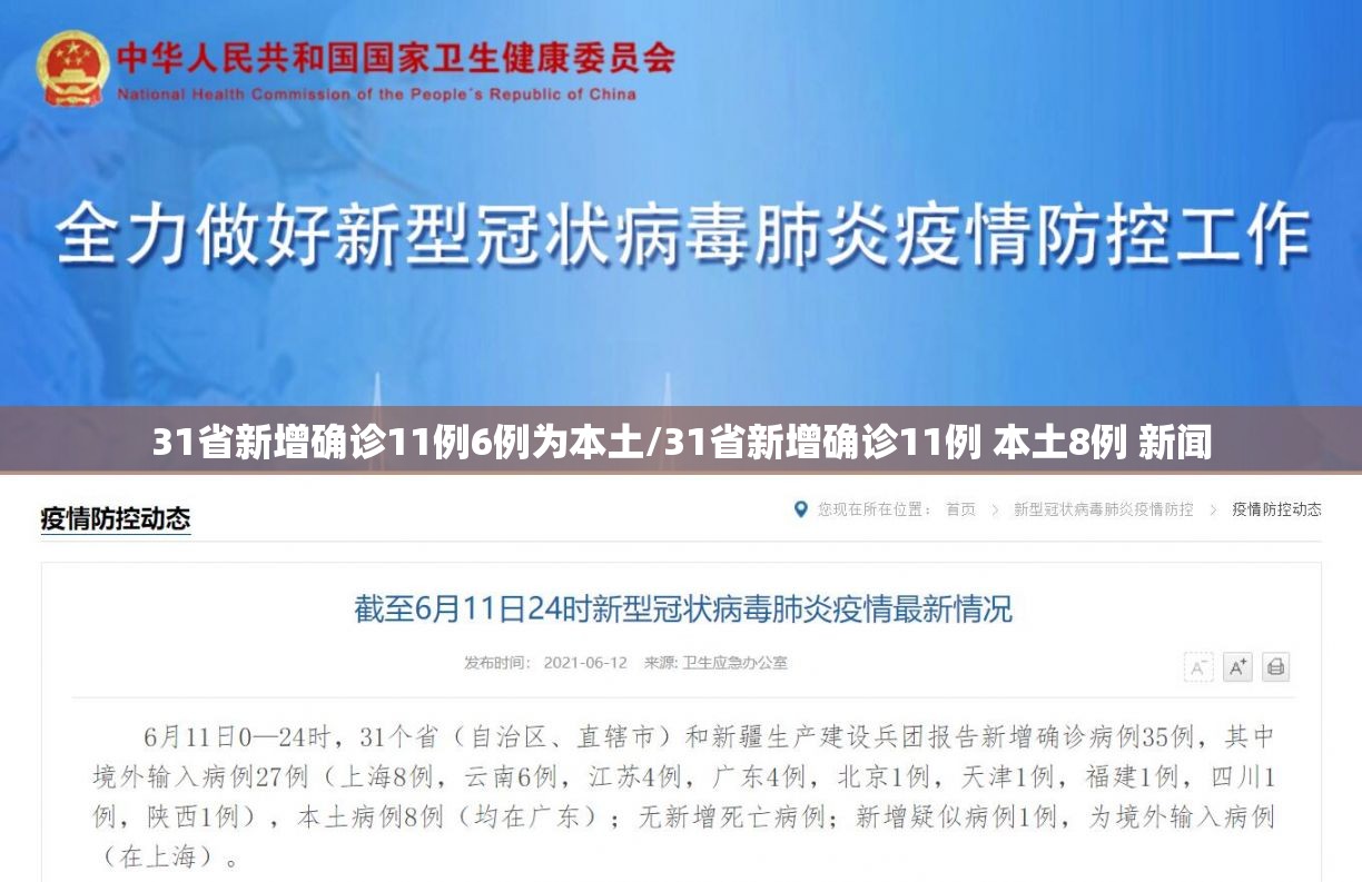 31省新增确诊11例6例为本土/31省新增确诊11例 本土8例 新闻
