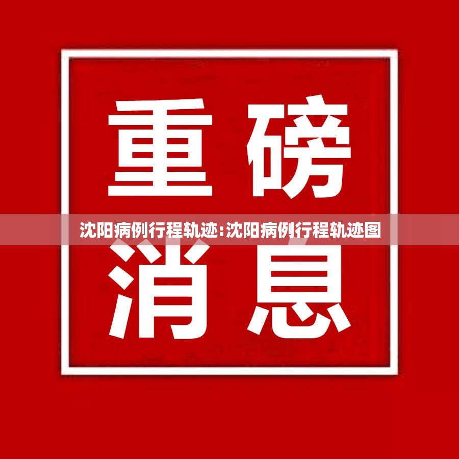 沈阳病例行程轨迹:沈阳病例行程轨迹图