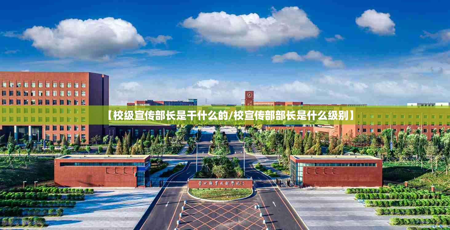 【校级宣传部长是干什么的/校宣传部部长是什么级别】